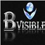 BVisiblePL