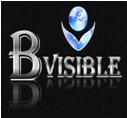 BVisiblePL